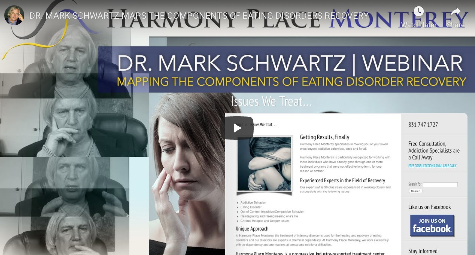 WEBINAR VIDEO: DR. MARK SCHWARTZ MAPS THE COMPONENTS OF EATING DISORDERS RECOVERY