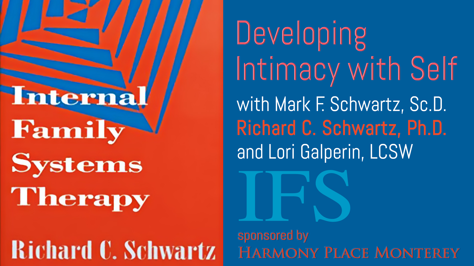 WORKSHOP VIDEO:  “Internal Family Systems | Developing Intimacy with Self”
