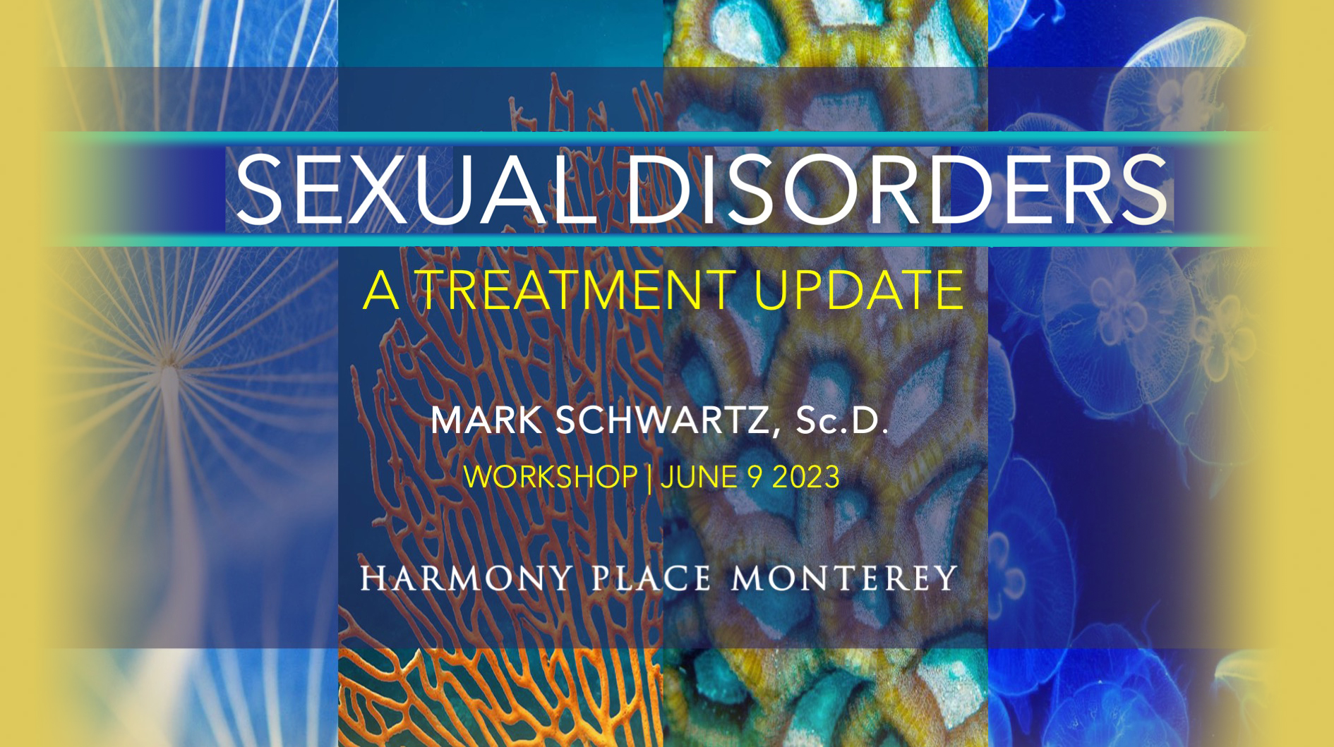 WORKSHOP VIDEO:  SEXUAL DISORDERS | Treatment Update 2023 for CAMFT