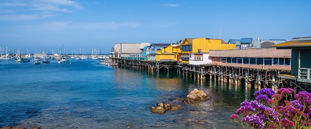 Monterey Bay with boats in the background and colorful buildings, rocks, and flowers in the foreground